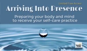 Arriving into Presence limited Free access 1